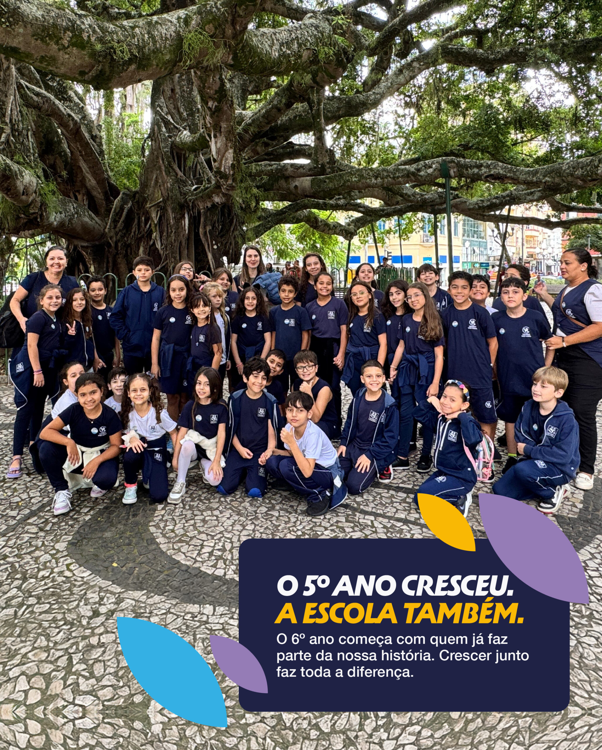 criativo-2